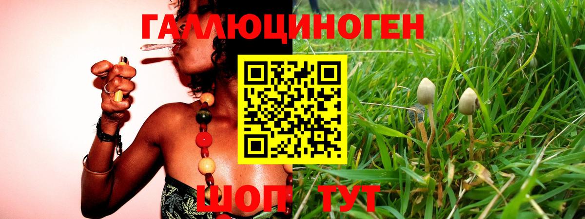 Галлюциногенные грибы прущие грибы  Вход с VPN  Кировск 