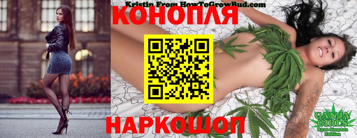 Канабис индика  Бошки Шишки планчик  Бошки Шишки тримм  Кировск  Вход с VPN 